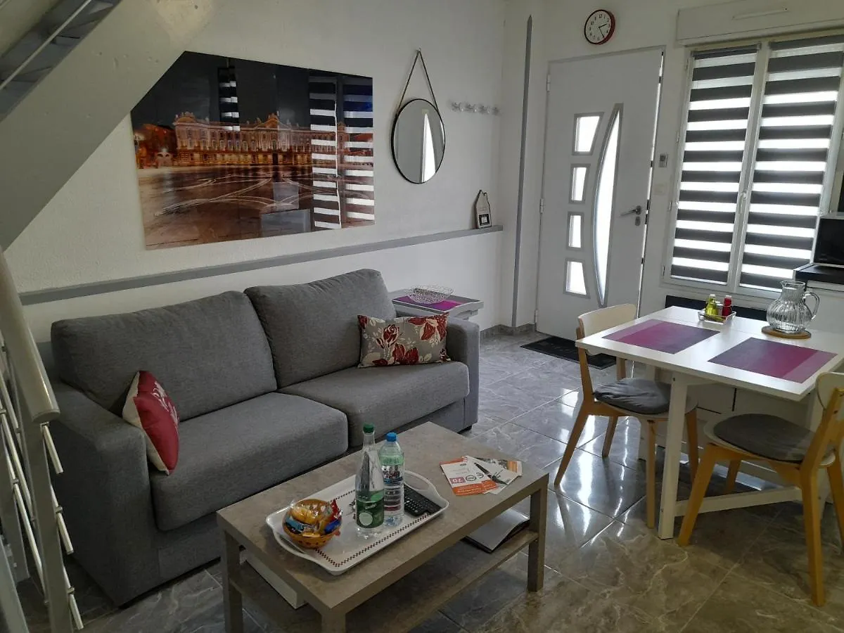 Apartament T2 Charmant Duplex Independant Blagnac